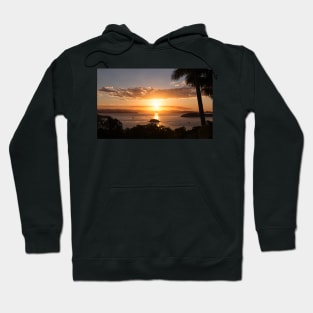 A Drink and a Sunset Hoodie